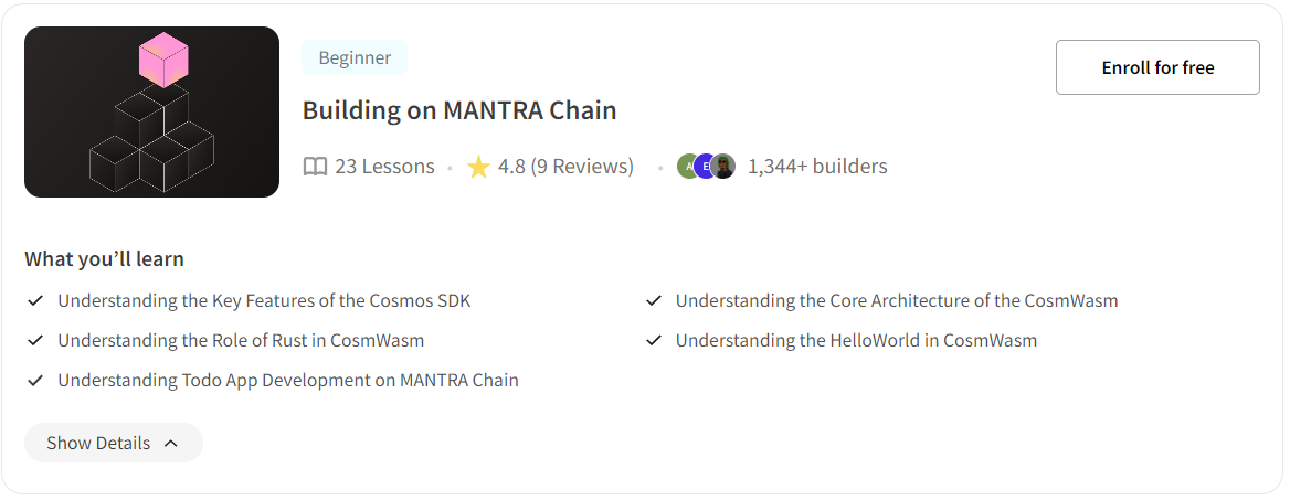 mantra chain - metaschool course 2