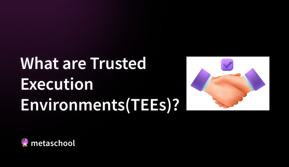 What are Trusted Execution Environments(TEEs) ?