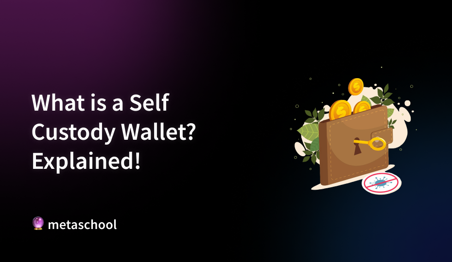 What is Self Custody Wallet? Explained! - cover image